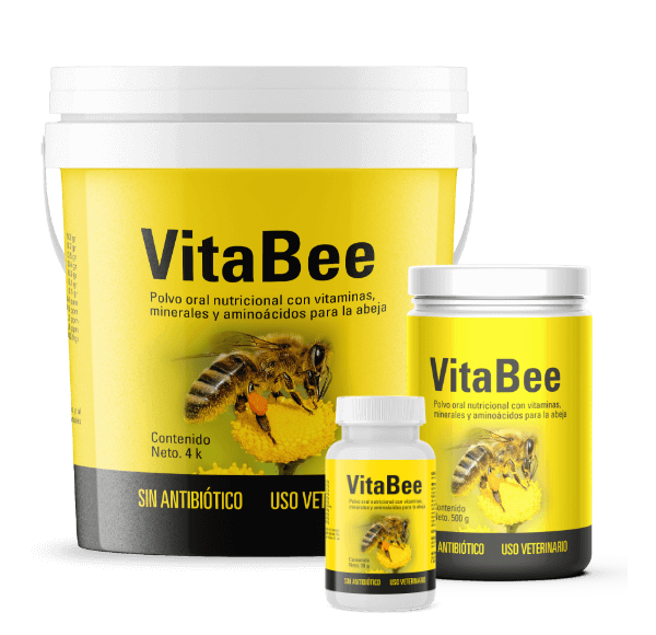 Vitabee productos con vitaminas, minerales y aminoácidos para la abeja